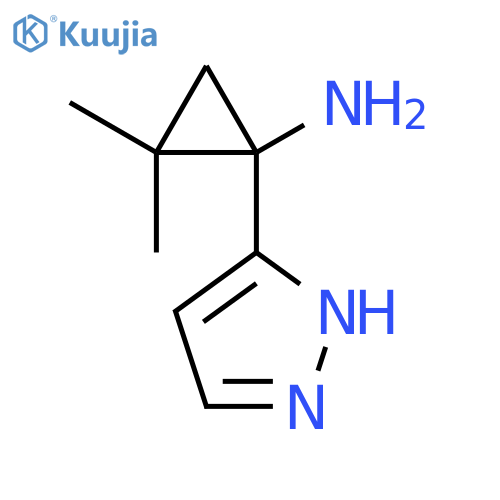 2,2-dimethyl-1-(1H-pyrazol-3-yl)cyclopropan-1-amine structure
