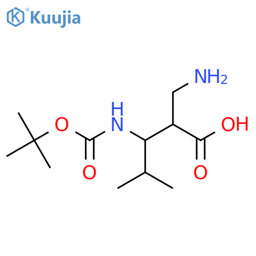2-(aminomethyl)-3-{(tert-butoxy)carbonylamino}-4-methylpentanoic acid structure