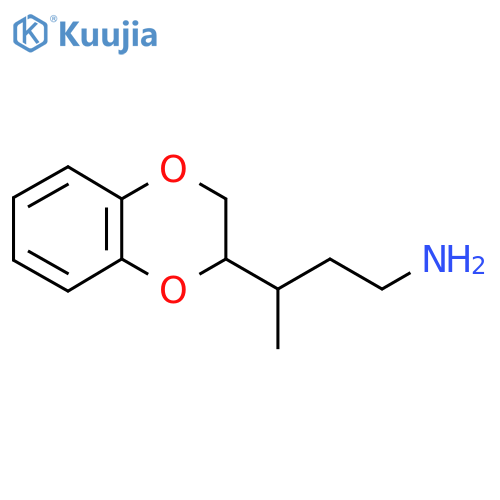 3-(2,3-dihydro-1,4-benzodioxin-2-yl)butan-1-amine structure