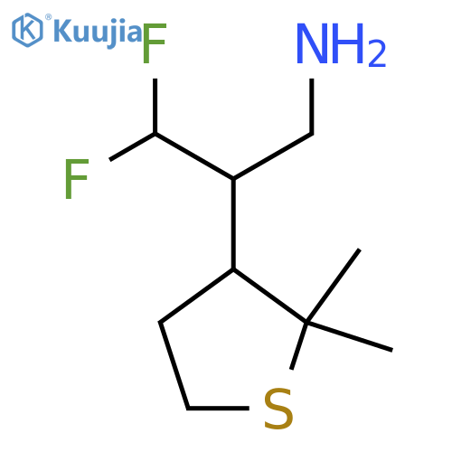 2-(2,2-dimethylthiolan-3-yl)-3,3-difluoropropan-1-amine structure