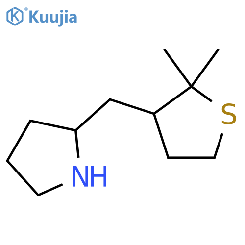 2-(2,2-dimethylthiolan-3-yl)methylpyrrolidine structure