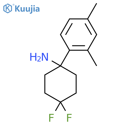 1-(2,4-dimethylphenyl)-4,4-difluorocyclohexan-1-amine structure