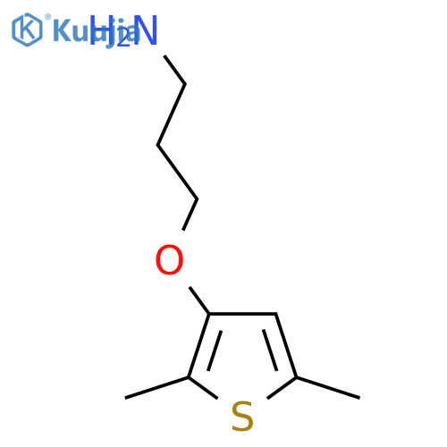 3-(2,5-dimethylthiophen-3-yl)oxypropan-1-amine structure