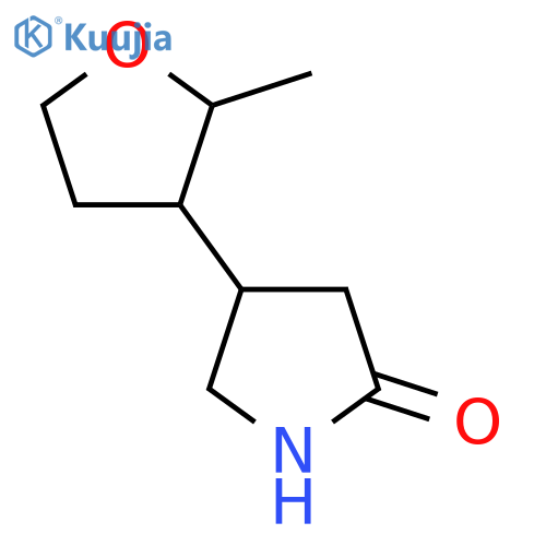 4-(2-methyloxolan-3-yl)pyrrolidin-2-one structure