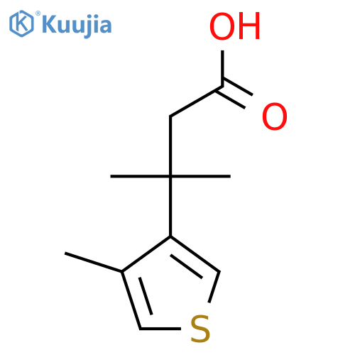 3-methyl-3-(4-methylthiophen-3-yl)butanoic acid structure