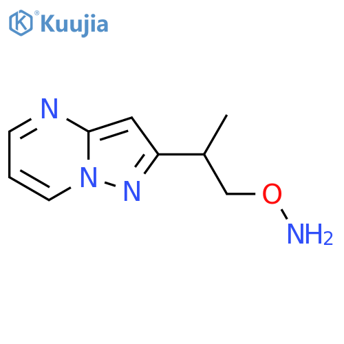 O-(2-{pyrazolo1,5-apyrimidin-2-yl}propyl)hydroxylamine structure