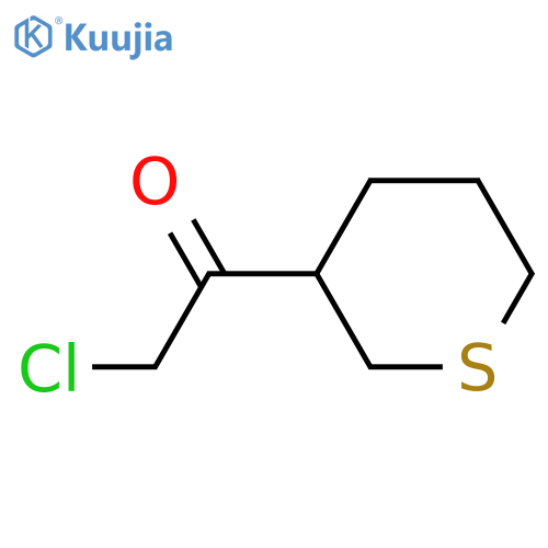 2-chloro-1-(thian-3-yl)ethan-1-one structure