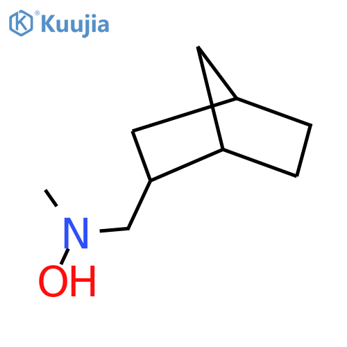 N-({bicyclo2.2.1heptan-2-yl}methyl)-N-methylhydroxylamine structure
