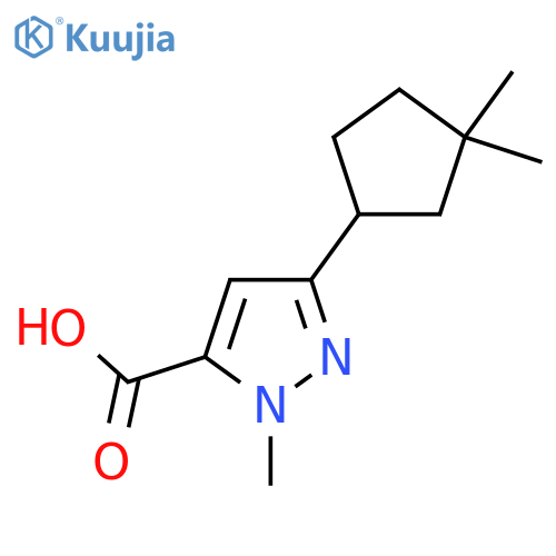 3-(3,3-dimethylcyclopentyl)-1-methyl-1H-pyrazole-5-carboxylic acid structure