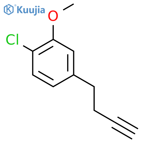 4-(but-3-yn-1-yl)-1-chloro-2-methoxybenzene structure