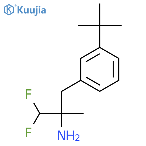 3-(3-tert-butylphenyl)-1,1-difluoro-2-methylpropan-2-amine structure