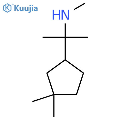 [2-(3,3-Dimethylcyclopentyl)propan-2-yl](methyl)amine structure