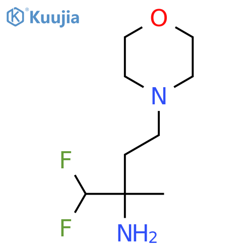 1,1-difluoro-2-methyl-4-(morpholin-4-yl)butan-2-amine structure