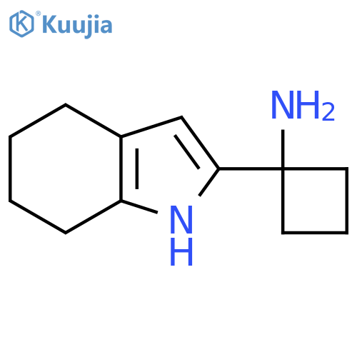 1-(4,5,6,7-tetrahydro-1H-indol-2-yl)cyclobutan-1-amine structure