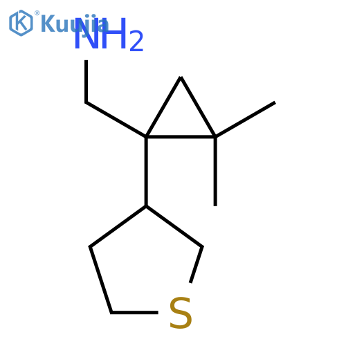2,2-dimethyl-1-(thiolan-3-yl)cyclopropylmethanamine structure