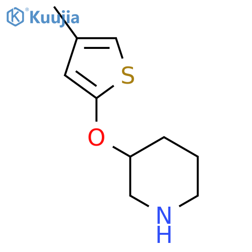 3-(4-methylthiophen-2-yl)oxypiperidine structure