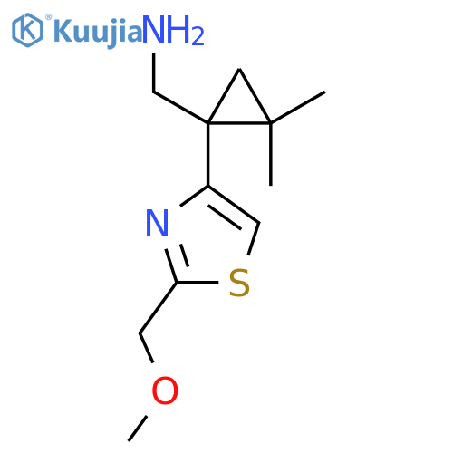 {1-2-(methoxymethyl)-1,3-thiazol-4-yl-2,2-dimethylcyclopropyl}methanamine structure