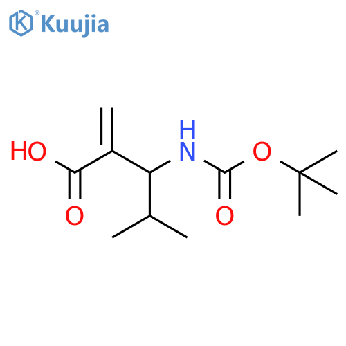 3-{(tert-butoxy)carbonylamino}-4-methyl-2-methylidenepentanoic acid structure
