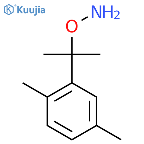 O-2-(2,5-dimethylphenyl)propan-2-ylhydroxylamine structure