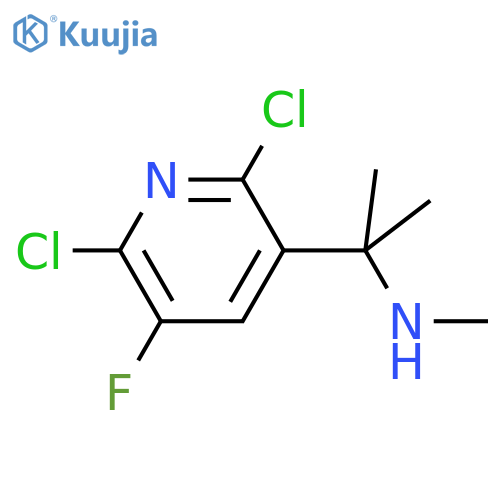 2-(2,6-dichloro-5-fluoropyridin-3-yl)propan-2-yl(methyl)amine structure