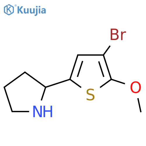 2-(4-bromo-5-methoxythiophen-2-yl)pyrrolidine structure