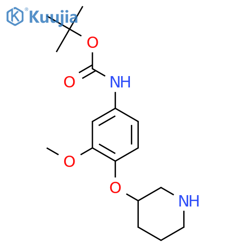 tert-butyl N-3-methoxy-4-(piperidin-3-yloxy)phenylcarbamate structure