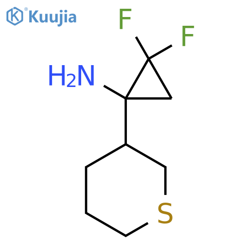 2,2-difluoro-1-(thian-3-yl)cyclopropan-1-amine structure