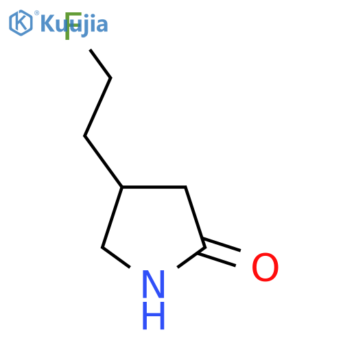 4-(2-fluoroethyl)pyrrolidin-2-one structure