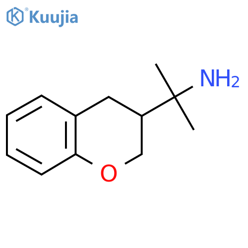 2-(3,4-dihydro-2H-1-benzopyran-3-yl)propan-2-amine structure