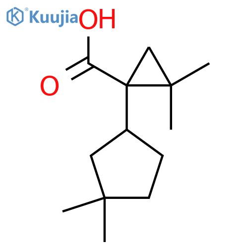 1-(3,3-dimethylcyclopentyl)-2,2-dimethylcyclopropane-1-carboxylic acid structure
