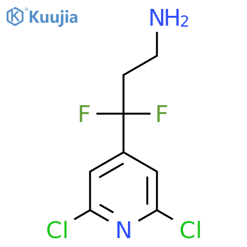 3-(2,6-dichloropyridin-4-yl)-3,3-difluoropropan-1-amine structure