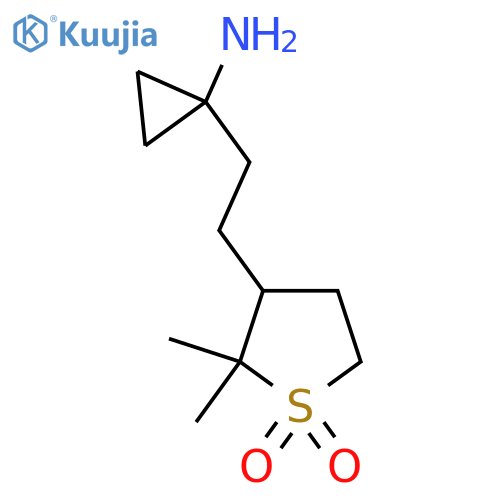 3-2-(1-aminocyclopropyl)ethyl-2,2-dimethyl-1lambda6-thiolane-1,1-dione structure