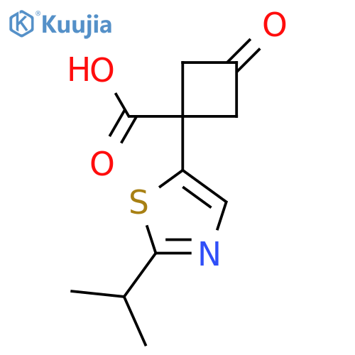 3-oxo-1-2-(propan-2-yl)-1,3-thiazol-5-ylcyclobutane-1-carboxylic acid structure