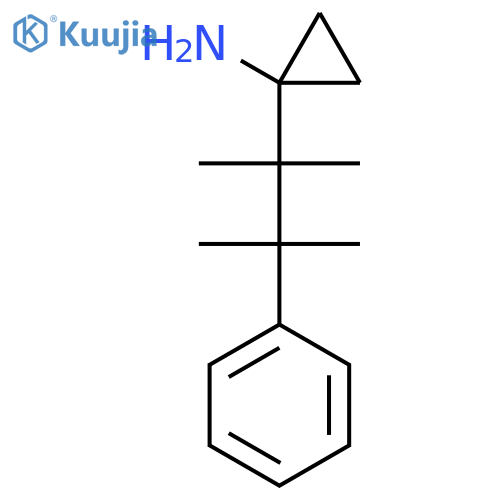 1-(2,3-dimethyl-3-phenylbutan-2-yl)cyclopropan-1-amine structure