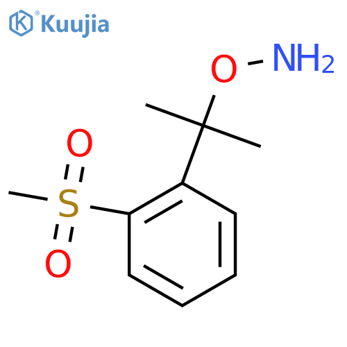 O-2-(2-methanesulfonylphenyl)propan-2-ylhydroxylamine structure