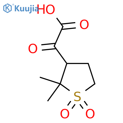 2-(2,2-dimethyl-1,1-dioxo-1lambda6-thiolan-3-yl)-2-oxoacetic acid structure