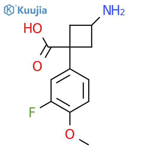 3-amino-1-(3-fluoro-4-methoxyphenyl)cyclobutane-1-carboxylic acid structure