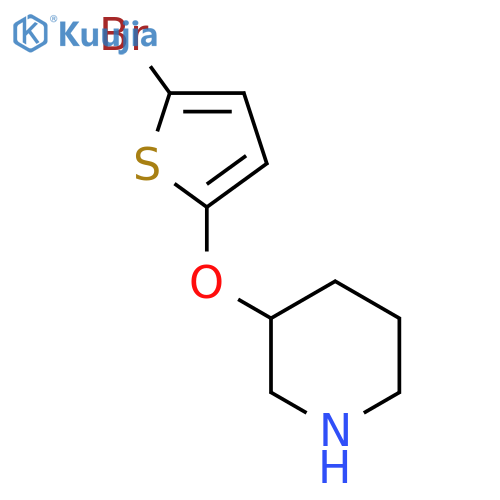 3-(5-bromothiophen-2-yl)oxypiperidine structure