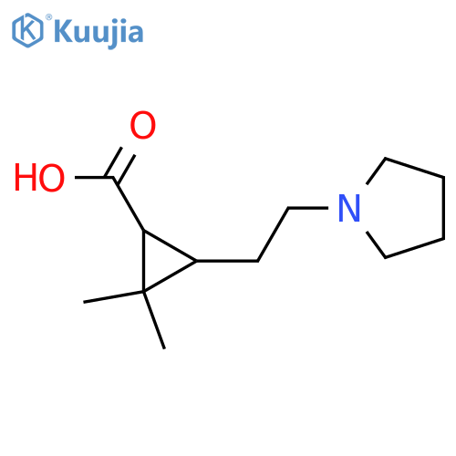2,2-dimethyl-3-2-(pyrrolidin-1-yl)ethylcyclopropane-1-carboxylic acid structure