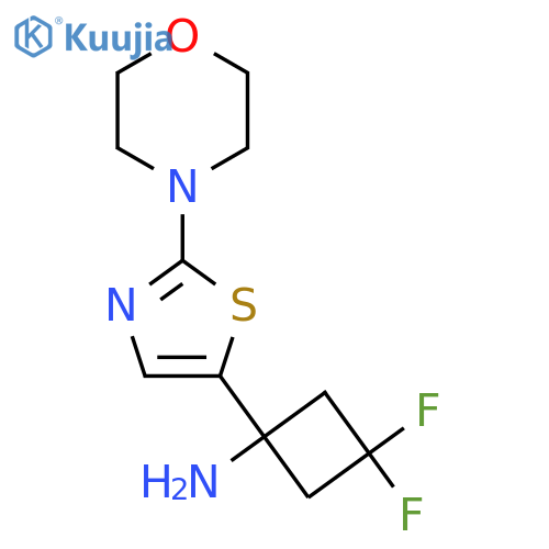 3,3-difluoro-1-2-(morpholin-4-yl)-1,3-thiazol-5-ylcyclobutan-1-amine structure