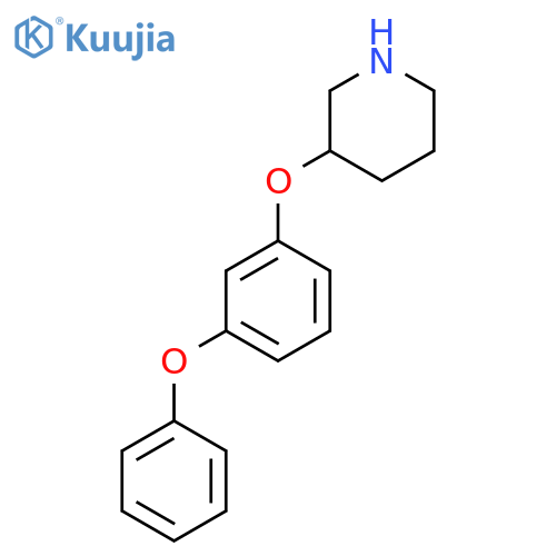3-(3-phenoxyphenoxy)piperidine structure