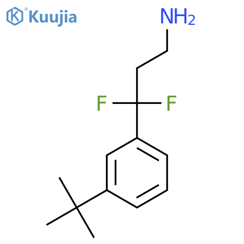 3-(3-tert-butylphenyl)-3,3-difluoropropan-1-amine structure