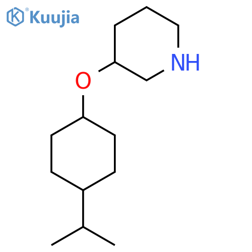 3-{4-(propan-2-yl)cyclohexyloxy}piperidine structure