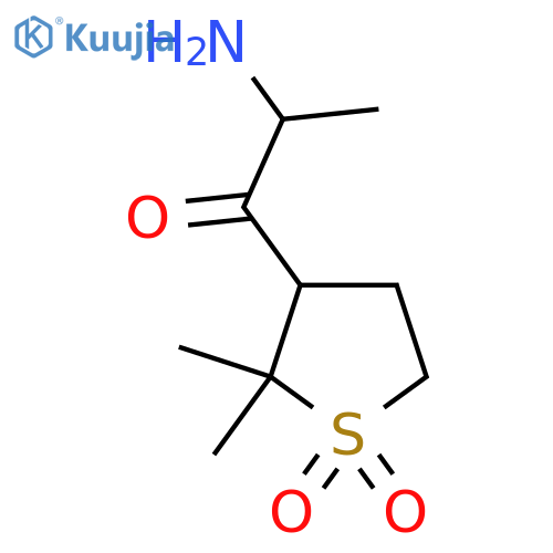 3-(2-aminopropanoyl)-2,2-dimethyl-1lambda6-thiolane-1,1-dione structure