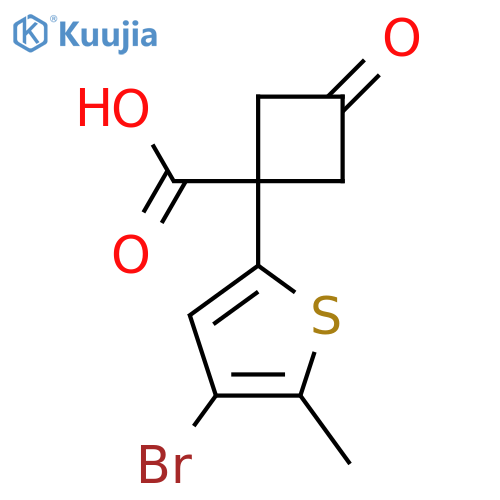 1-(4-bromo-5-methylthiophen-2-yl)-3-oxocyclobutane-1-carboxylic acid structure