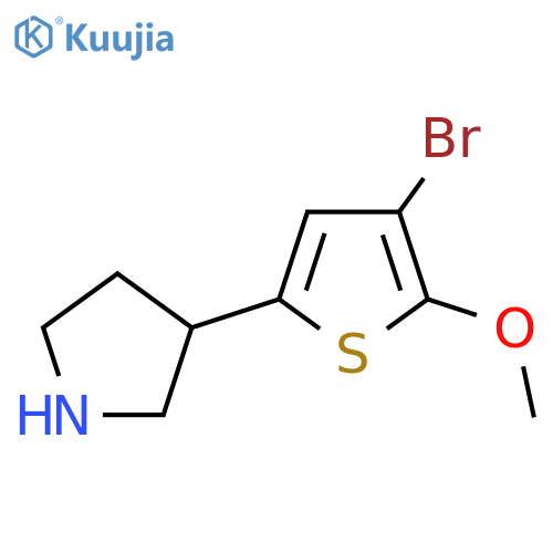 3-(4-bromo-5-methoxythiophen-2-yl)pyrrolidine structure