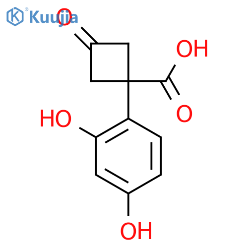 1-(2,4-dihydroxyphenyl)-3-oxocyclobutane-1-carboxylic acid structure