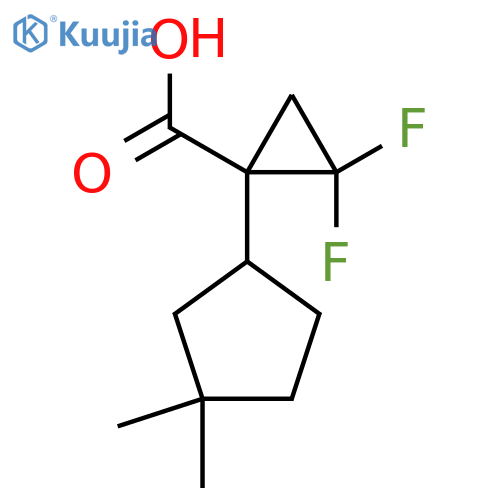 1-(3,3-dimethylcyclopentyl)-2,2-difluorocyclopropane-1-carboxylic acid structure