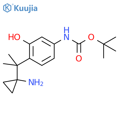tert-butyl N-{4-2-(1-aminocyclopropyl)propan-2-yl-3-hydroxyphenyl}carbamate structure
