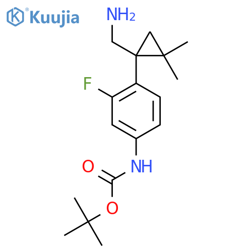 tert-butyl N-{4-1-(aminomethyl)-2,2-dimethylcyclopropyl-3-fluorophenyl}carbamate structure